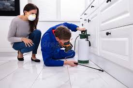 Emergency Pest Control Services in Linda, CA